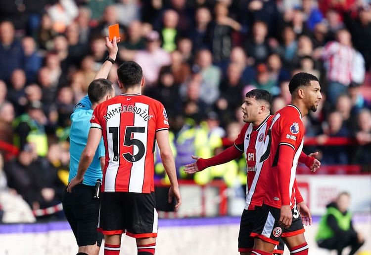 Sheffield United  Brighton