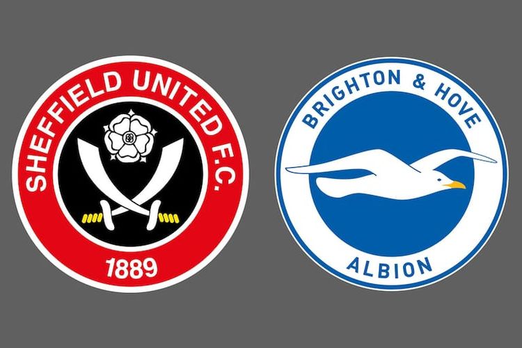 Sheffield United  Brighton