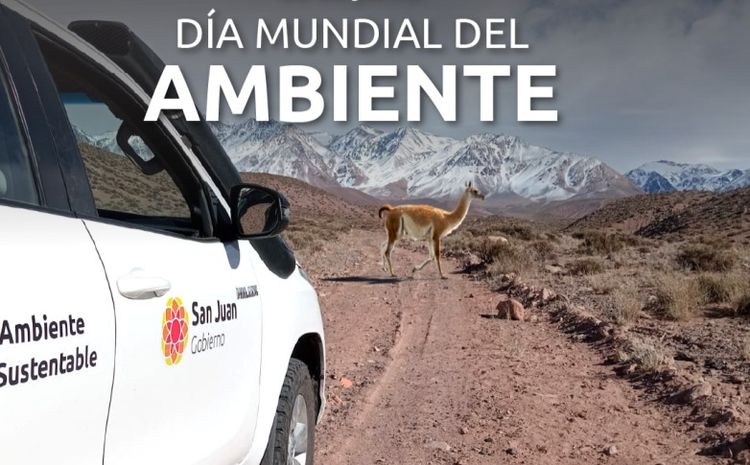 Dia Mundial del Medio Ambiente 2024