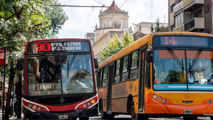 Paro de colectivos