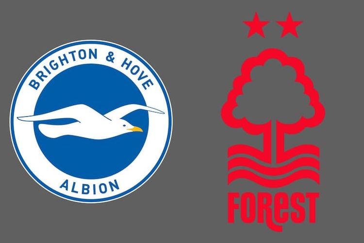 Brighton  Nottingham Forest